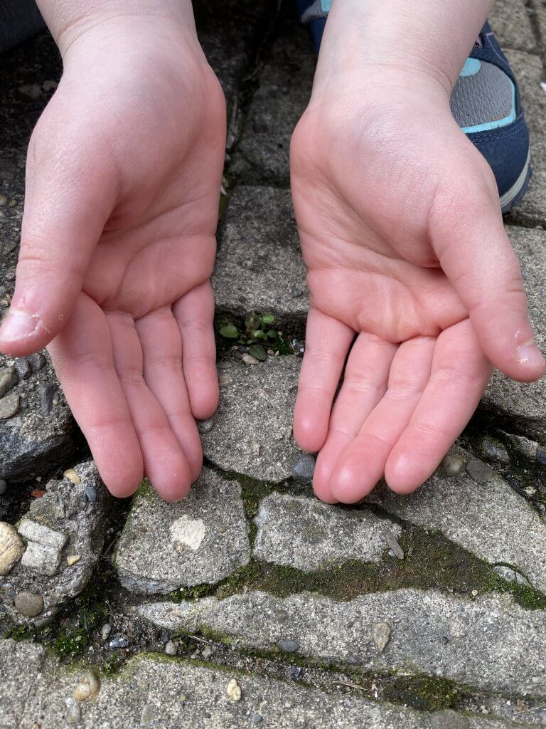 Kiddo hands near interestingly patterned rocks.